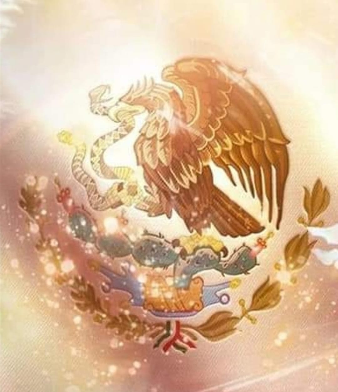 Imagen 13